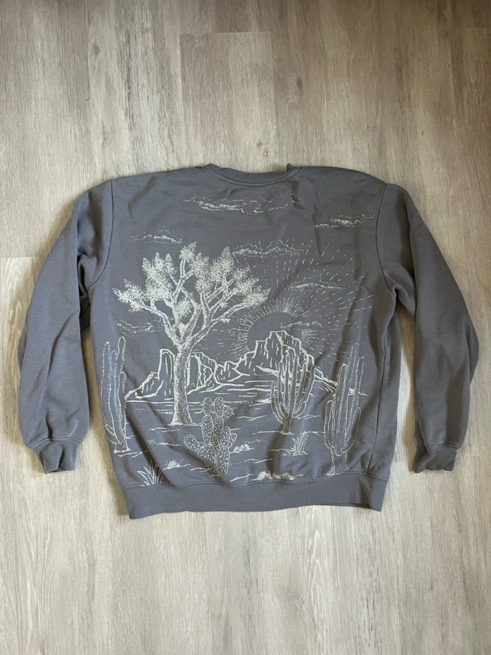Modish Rebel Crewneck Sweater with Desert Landscape Graphic - Gray Lg